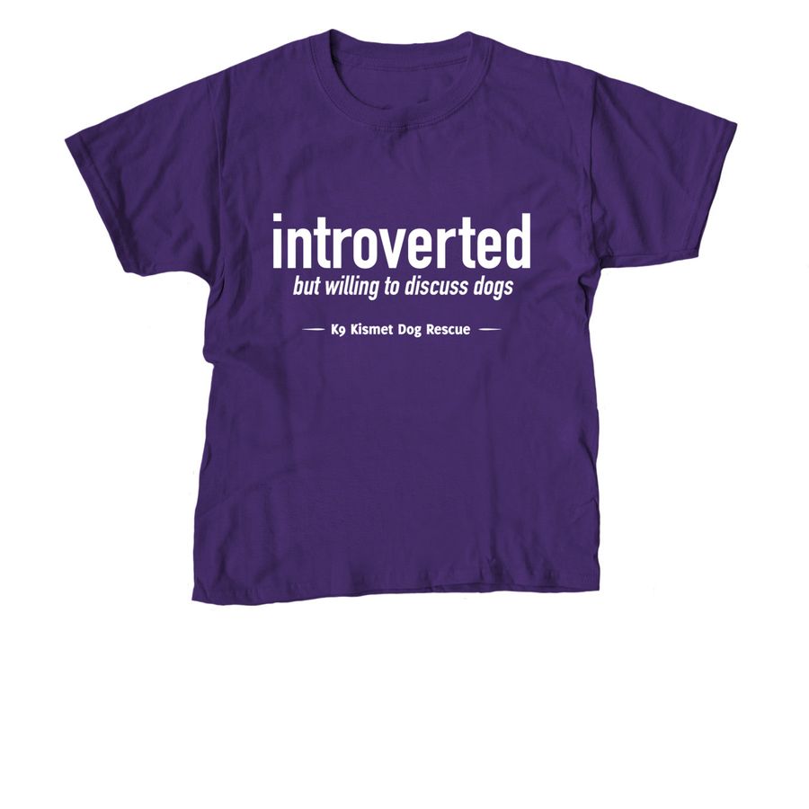 Introverted_Youth