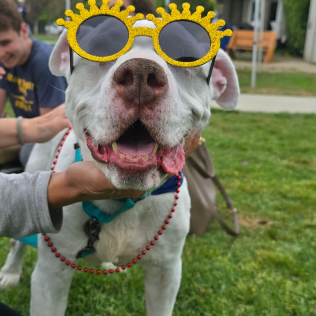 Howie smiling wearing bright yellow sunglasses